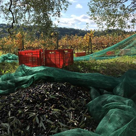 Tenuta Guardastelle - Agriturismo And Vineyard Сан-Джиминьяно Экстерьер фото